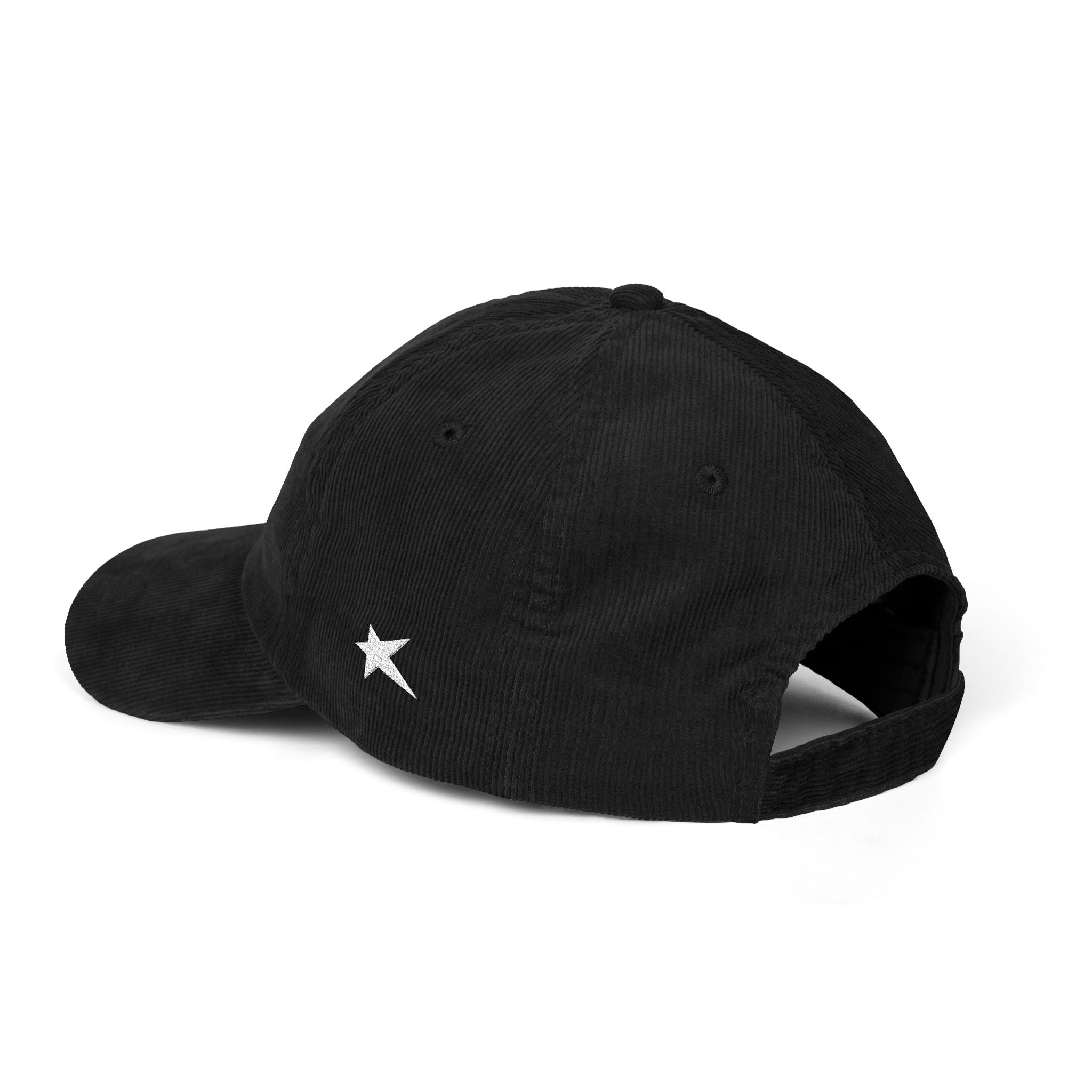 dad hat.